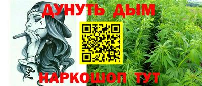 гашик Ливны