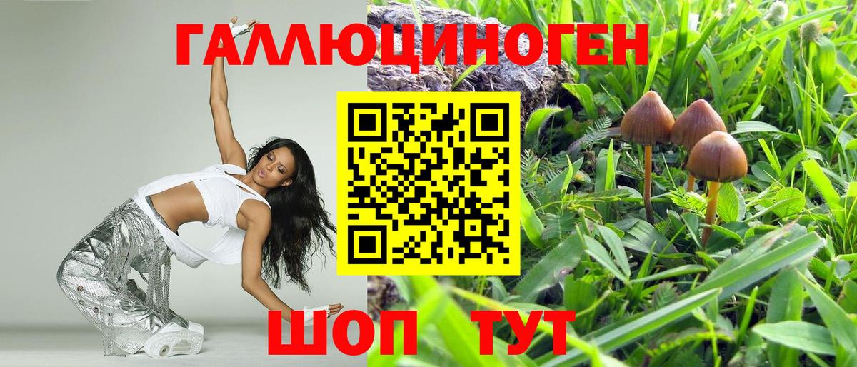 Псилоцибиновые грибы ЛСД Егорьевск