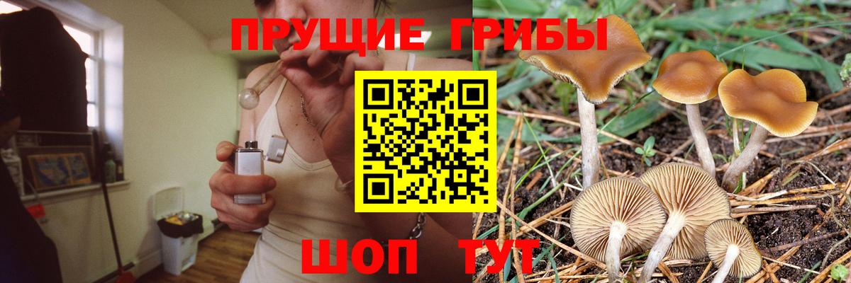 Егорьевск  магазин  наркотиков  Вход с VPN  Псилоцибиновые грибы мицелий 